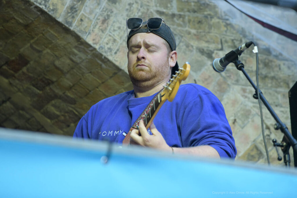 Reigate Summer Festival - Woodzy